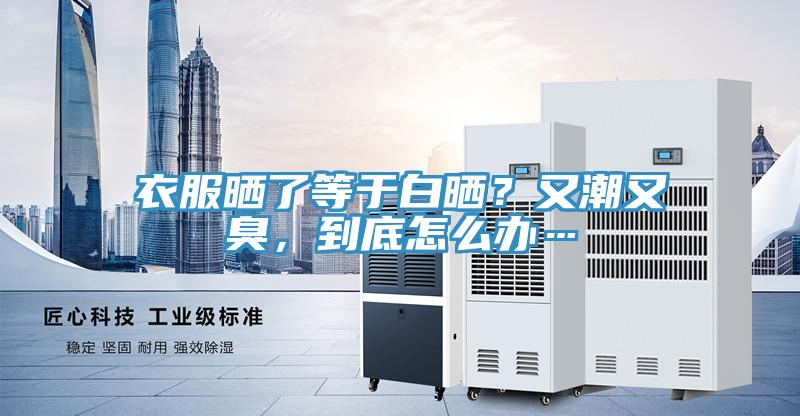 衣服曬了等于白曬？又潮又臭，到底怎么辦…