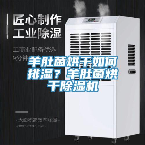 羊肚菌烘干如何排濕？羊肚菌烘干除濕機
