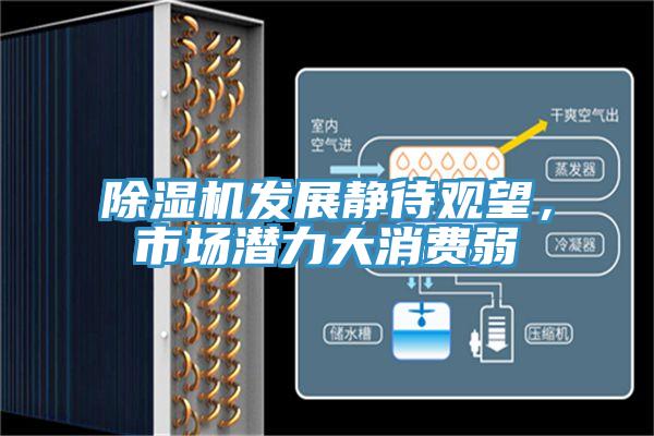 除濕機發(fā)展靜待觀望，市場潛力大消費弱