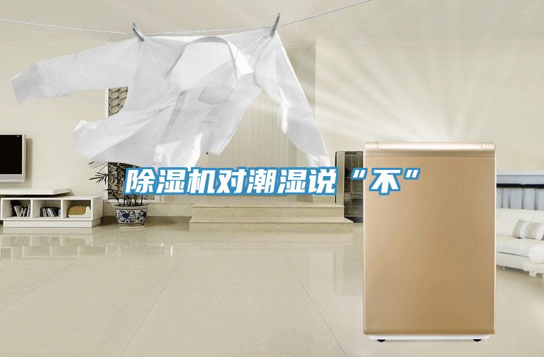 除濕機(jī)對(duì)潮濕說“不”