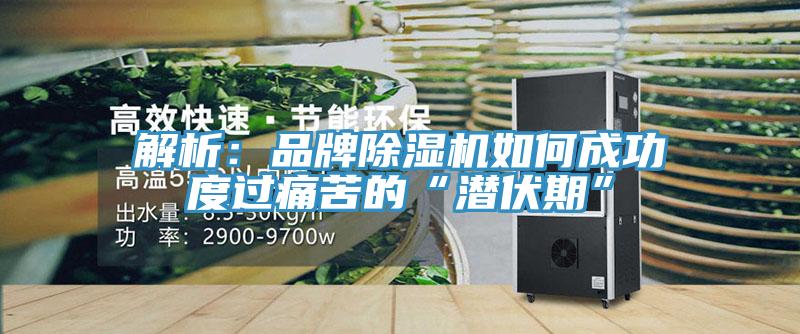 解析：品牌除濕機(jī)如何成功度過(guò)痛苦的“潛伏期”