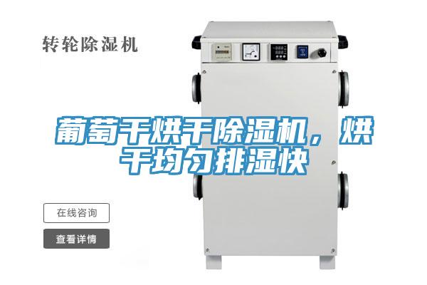 葡萄干烘干除濕機(jī)，烘干均勻排濕快