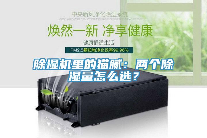 除濕機(jī)里的貓膩：兩個除濕量怎么選？