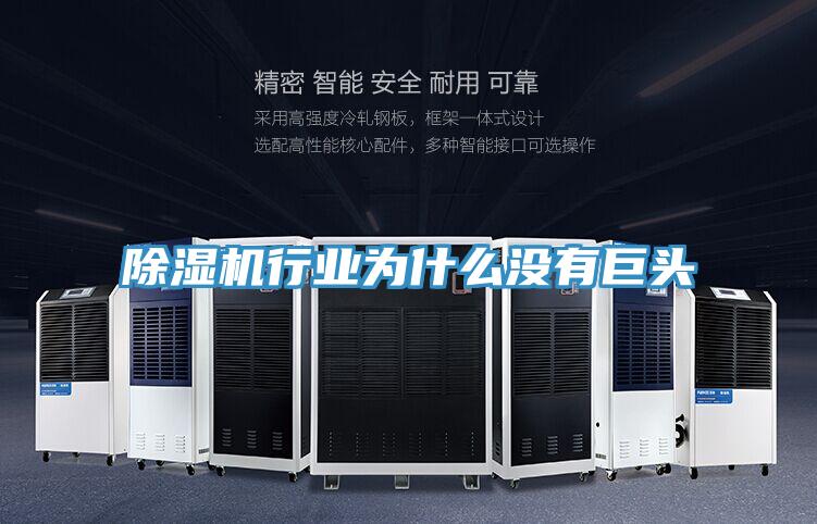 除濕機(jī)行業(yè)為什么沒有巨頭