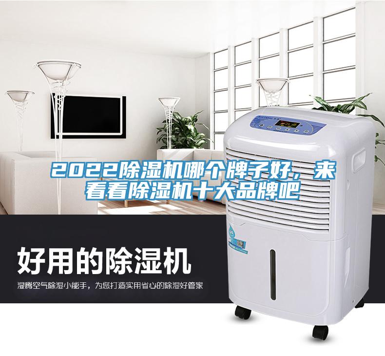 2022除濕機(jī)哪個牌子好，來看看除濕機(jī)十大品牌吧