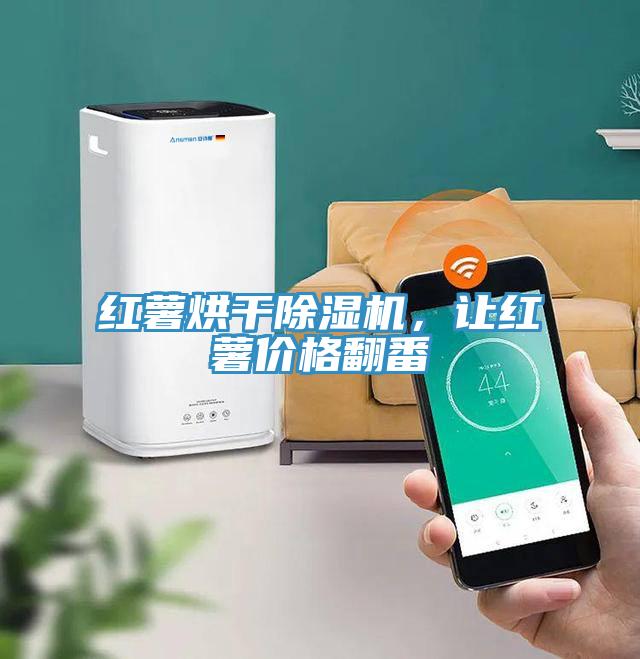 紅薯烘干除濕機(jī)，讓紅薯價(jià)格翻番
