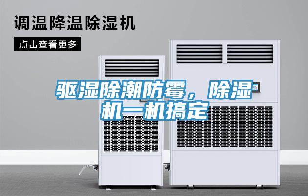 驅(qū)濕除潮防霉，除濕機(jī)一機(jī)搞定
