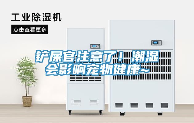 鏟屎官注意了！潮濕會影響寵物健康~