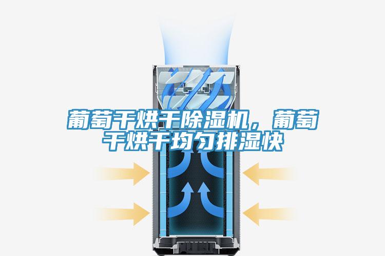 葡萄干烘干除濕機(jī)，葡萄干烘干均勻排濕快