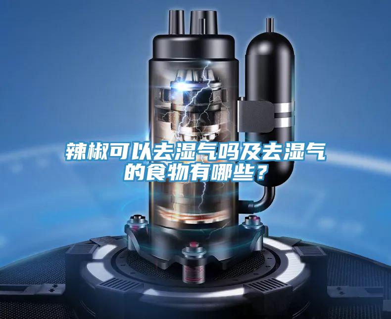 辣椒可以去濕氣嗎及去濕氣的食物有哪些？