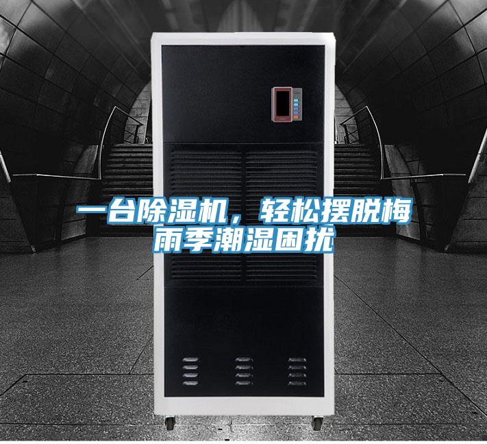 一臺除濕機，輕松擺脫梅雨季潮濕困擾