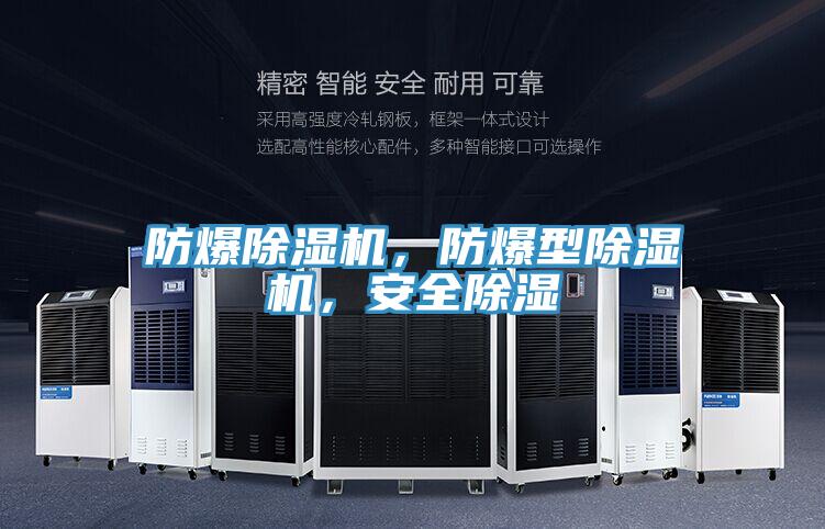 防爆除濕機(jī)，防爆型除濕機(jī)，安全除濕