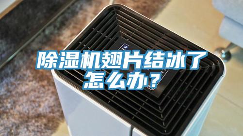 除濕機翅片結(jié)冰了怎么辦？