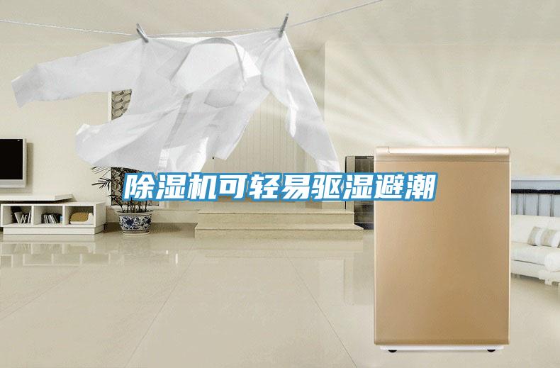除濕機可輕易驅(qū)濕避潮
