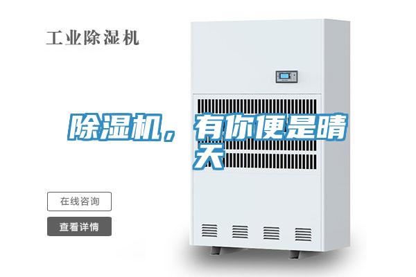 除濕機，有你便是晴天
