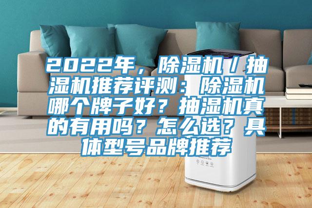 2022年，除濕機(jī)／抽濕機(jī)推薦評測：除濕機(jī)哪個牌子好？抽濕機(jī)真的有用嗎？怎么選？具體型號品牌推薦