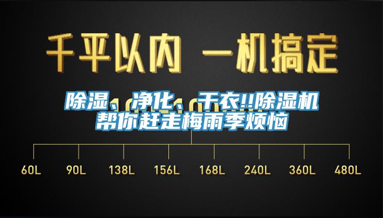 除濕、凈化、干衣!!除濕機幫你趕走梅雨季煩惱