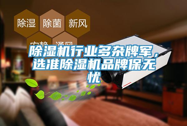 除濕機行業(yè)多雜牌軍，選準除濕機品牌保無憂