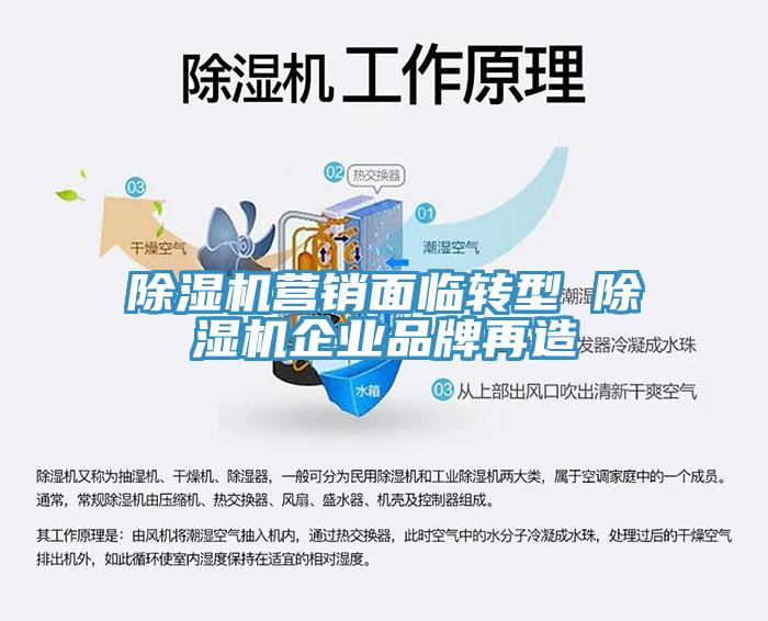 除濕機(jī)營(yíng)銷面臨轉(zhuǎn)型 除濕機(jī)企業(yè)品牌再造