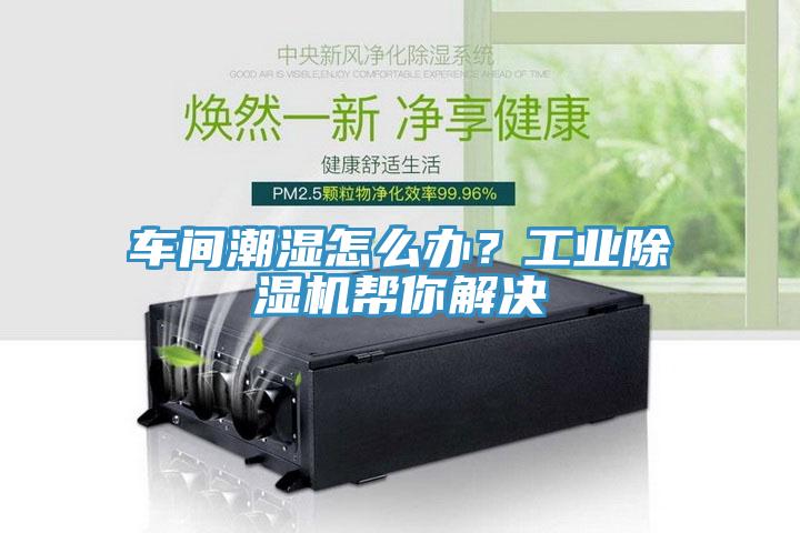 車間潮濕怎么辦？工業(yè)除濕機幫你解決