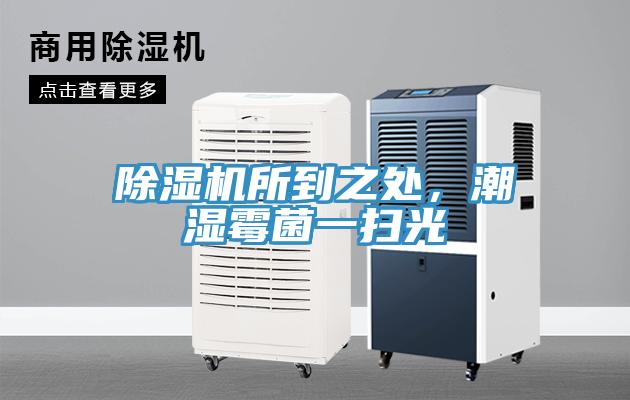 除濕機(jī)所到之處，潮濕霉菌一掃光