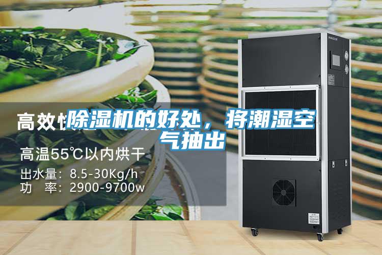 除濕機的好處，將潮濕空氣抽出
