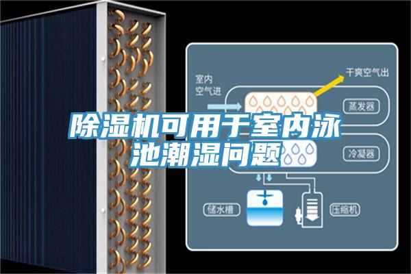 除濕機可用于室內(nèi)泳池潮濕問題