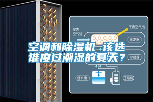空調和除濕機 該選誰度過潮濕的夏天？