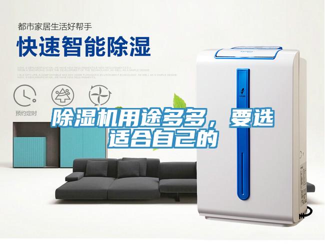 除濕機用途多多，要選適合自己的