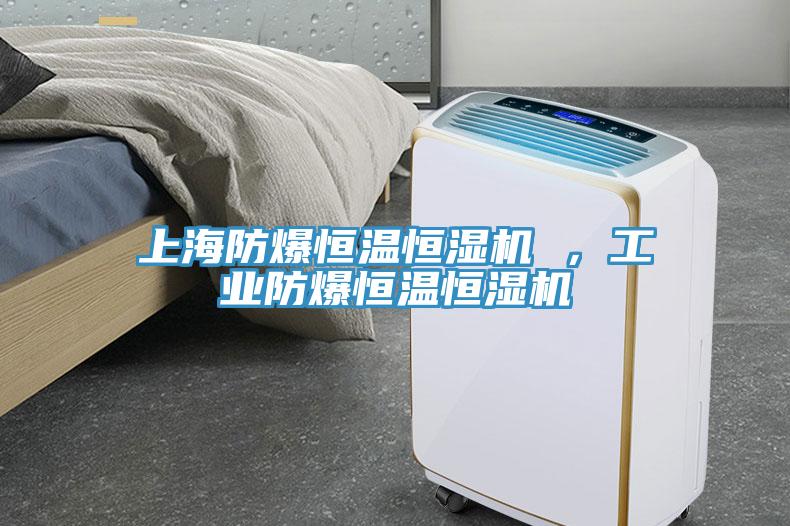 上海防爆恒溫恒濕機 ，工業(yè)防爆恒溫恒濕機