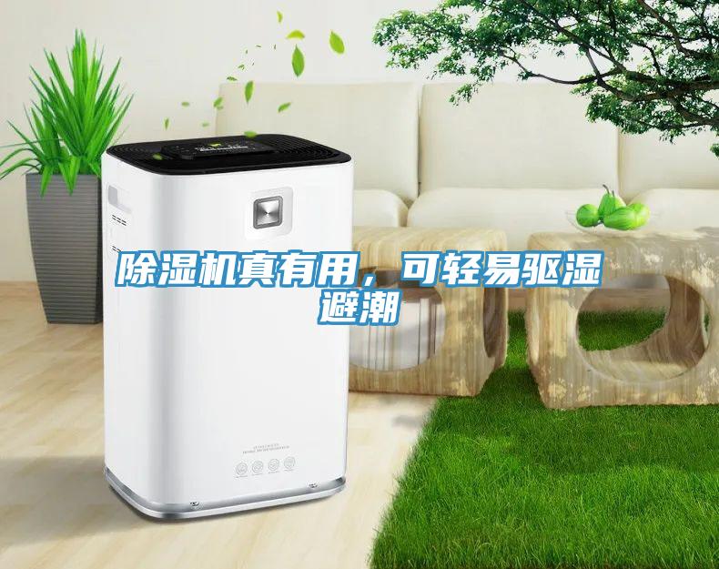 除濕機真有用，可輕易驅(qū)濕避潮