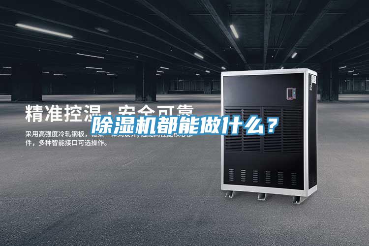 除濕機(jī)都能做什么？