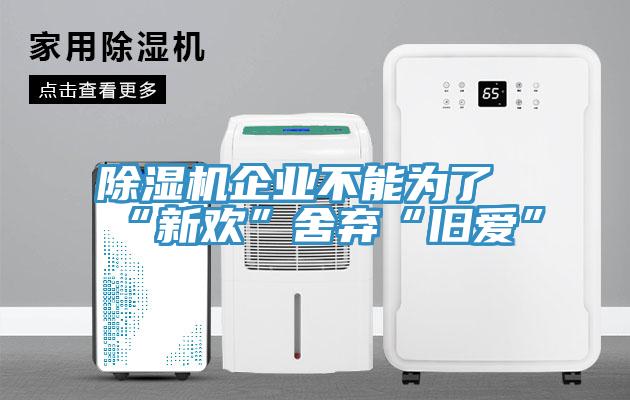 除濕機(jī)企業(yè)不能為了“新歡”舍棄“舊愛(ài)”