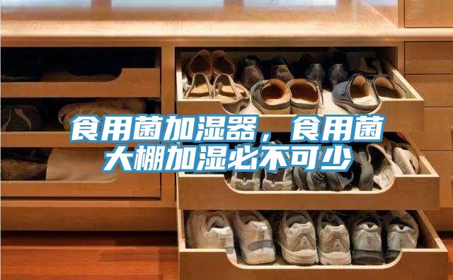 食用菌加濕器，食用菌大棚加濕必不可少