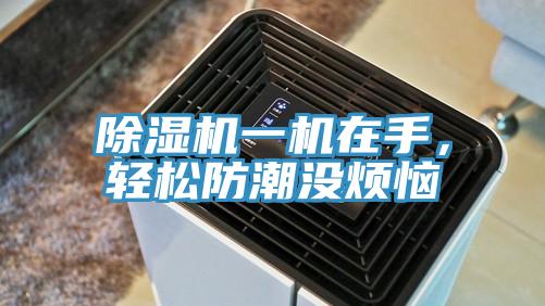 除濕機(jī)一機(jī)在手，輕松防潮沒煩惱
