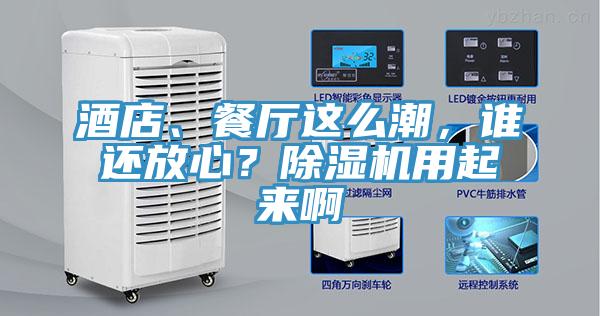 酒店、餐廳這么潮，誰(shuí)還放心？除濕機(jī)用起來(lái)啊