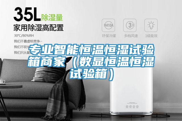 專業(yè)智能恒溫恒濕試驗箱商家（數顯恒溫恒濕試驗箱）