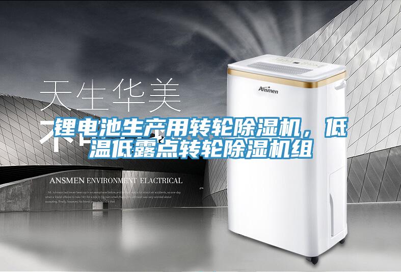 鋰電池生產(chǎn)用轉(zhuǎn)輪除濕機(jī)，低溫低露點(diǎn)轉(zhuǎn)輪除濕機(jī)組