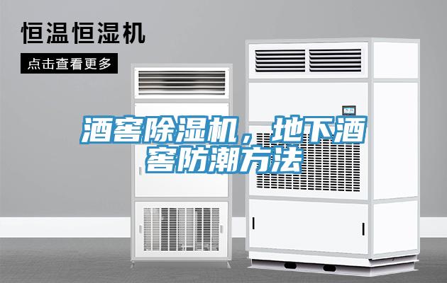 酒窖除濕機(jī)，地下酒窖防潮方法