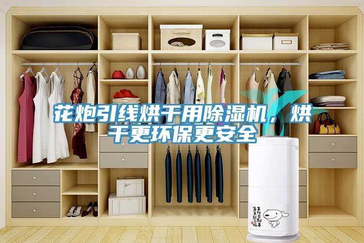花炮引線烘干用除濕機(jī)，烘干更環(huán)保更安全