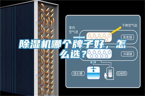 除濕機哪個牌子好，怎么選？