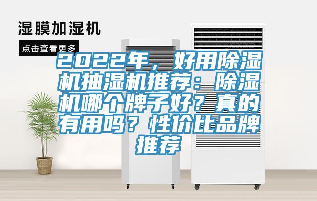 2022年，好用除濕機(jī)抽濕機(jī)推薦：除濕機(jī)哪個牌子好？真的有用嗎？性價比品牌推薦