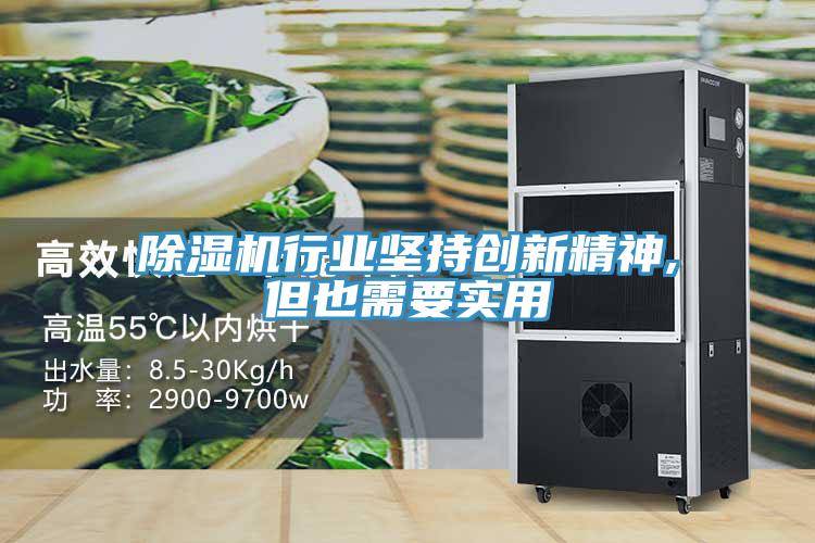 除濕機行業(yè)堅持創(chuàng)新精神,但也需要實用