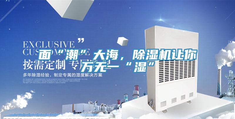 面“潮”大海，除濕機讓你萬無一“濕”