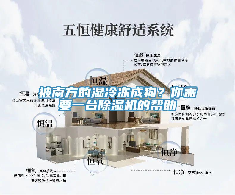 被南方的濕冷凍成狗？你需要一臺除濕機(jī)的幫助