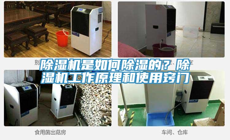 除濕機是如何除濕的？除濕機工作原理和使用竅門