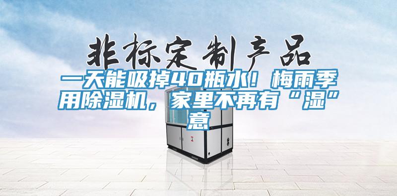 一天能吸掉40瓶水！梅雨季用除濕機(jī)，家里不再有“濕”意