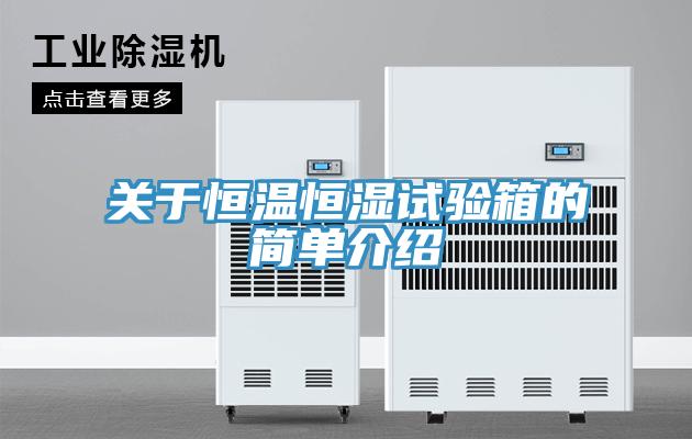 關(guān)于恒溫恒濕試驗(yàn)箱的簡(jiǎn)單介紹