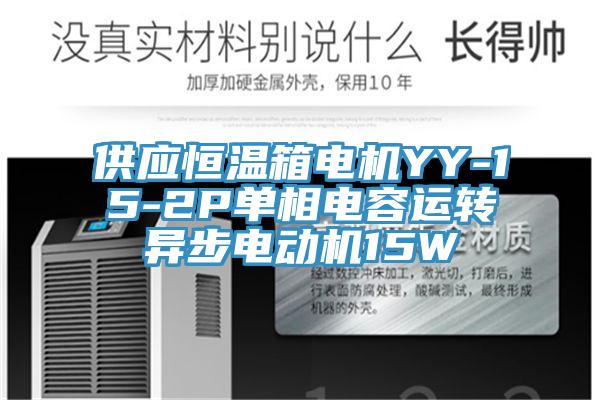 供應(yīng)恒溫箱電機(jī)YY-15-2P單相電容運(yùn)轉(zhuǎn)異步電動機(jī)15W