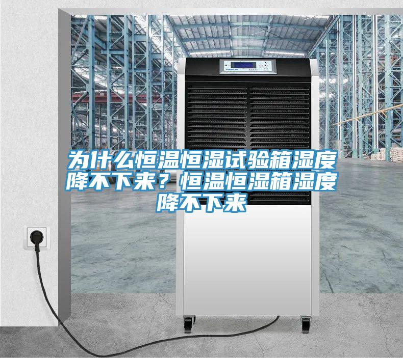 為什么恒溫恒濕試驗箱濕度降不下來？恒溫恒濕箱濕度降不下來